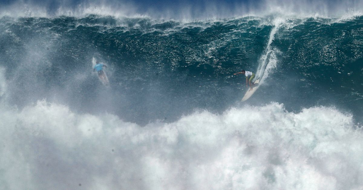 Lifeguard Luke Shepardson wins Hawaii surfing “Super Bowl”