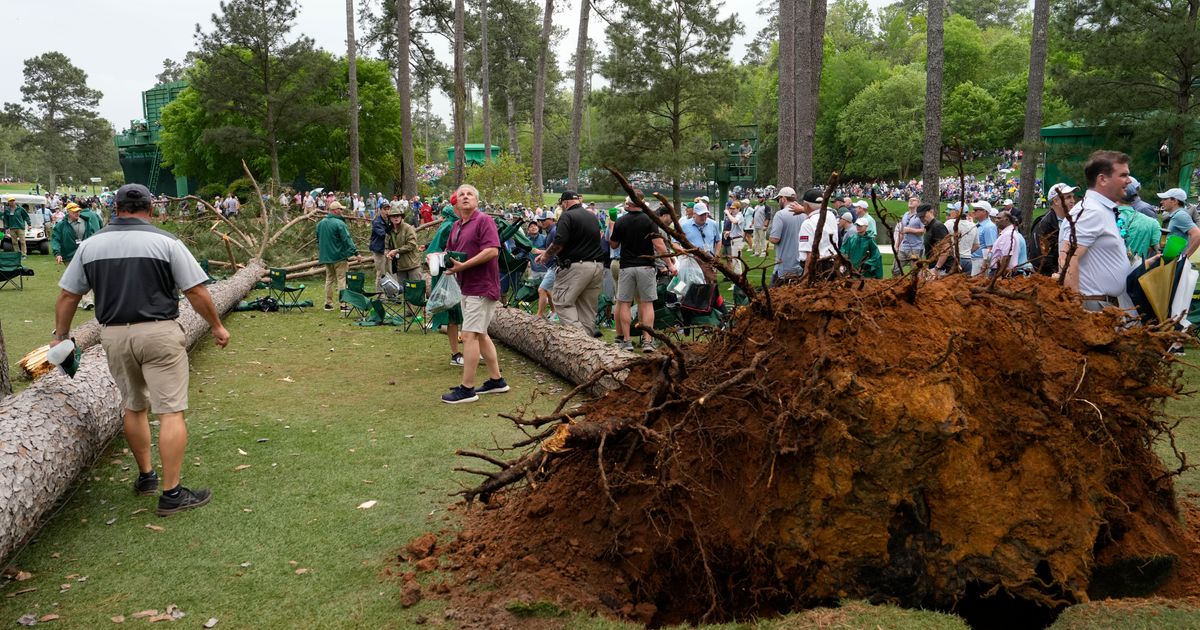 Crews Remove Fallen Pines Quickly at Masters Golf Tournament