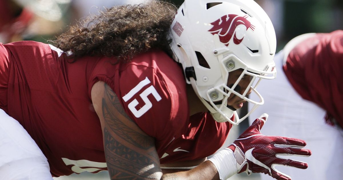 Washington State Cougars Unveil New Defensive Tackle for Spring Season