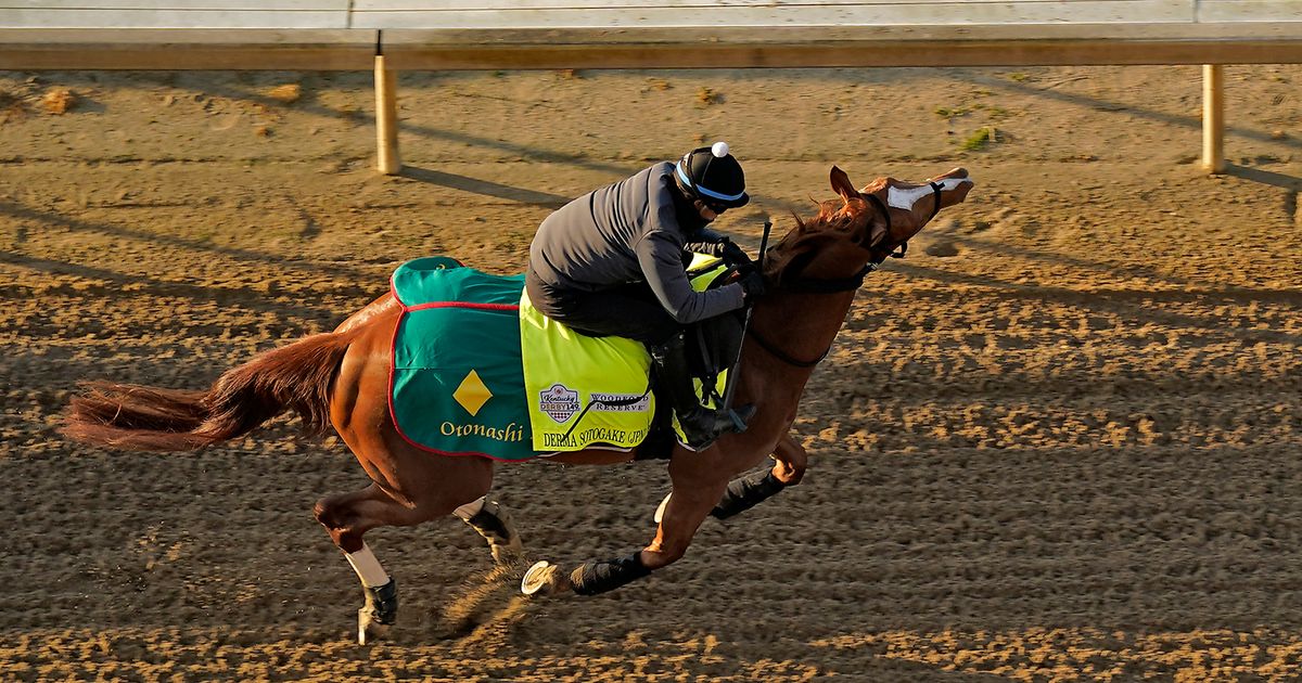 149th Kentucky Derby to Feature 19 Horses in Wide-Open Race