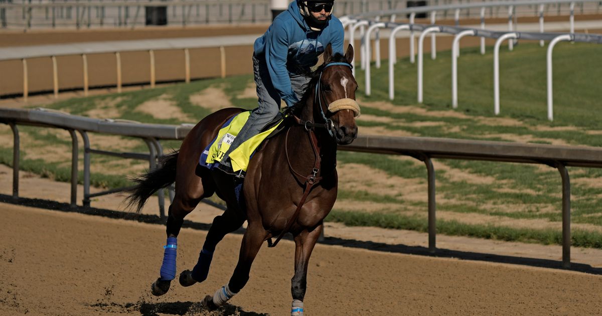 19 Horses to Compete in Kentucky Derby After Scratch of Skinner