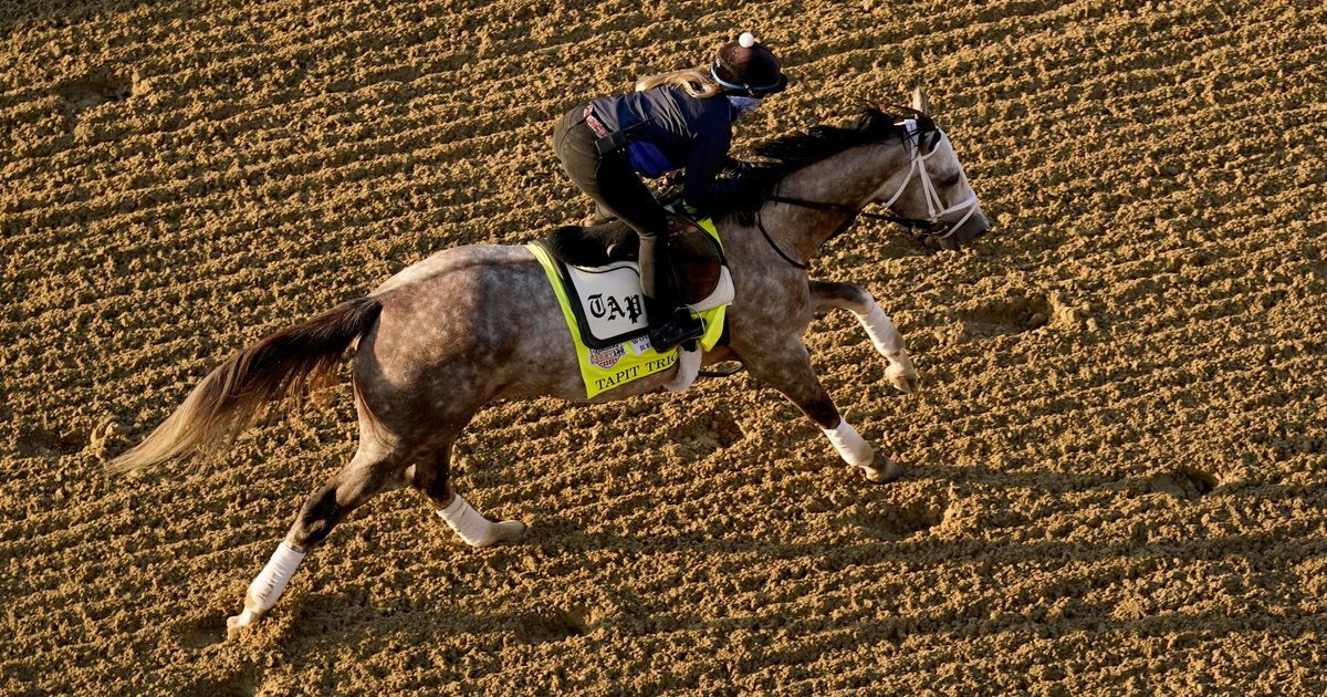 Antidoping and Medication Rules to be Implemented in Horse Racing