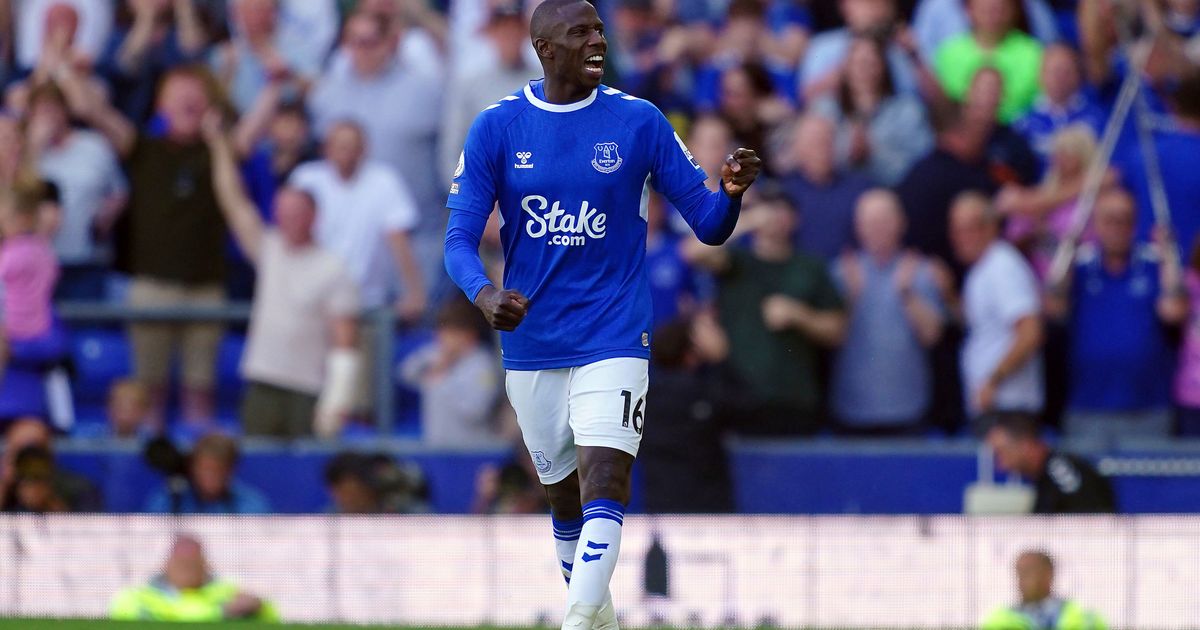 Everton Avoids Relegation on Final Day of Premier League Season, Leicester and Leeds Sent Down