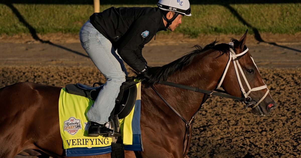 Investigation Launched into Horse Deaths at Churchill Downs, 2 Others Escape