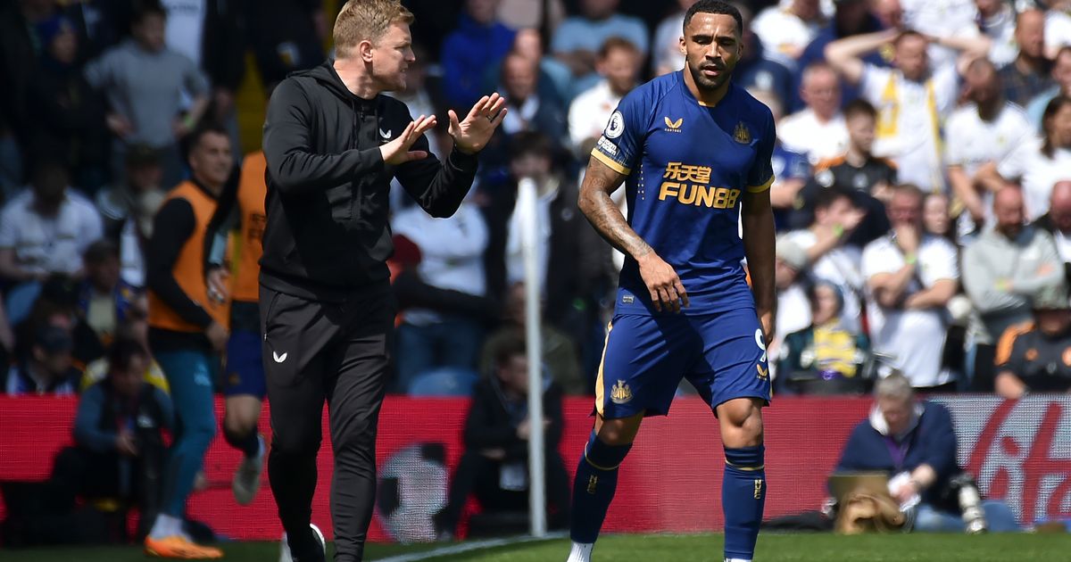 Leeds United Supporter Arrested and Banned for Harassing Newcastle United Manager Eddie Howe During English Premier League Match