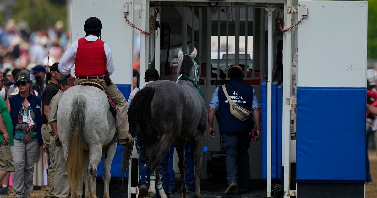 Preakness Stakes to Take Place Amid Rising Concerns Over Horse Deaths in Racing