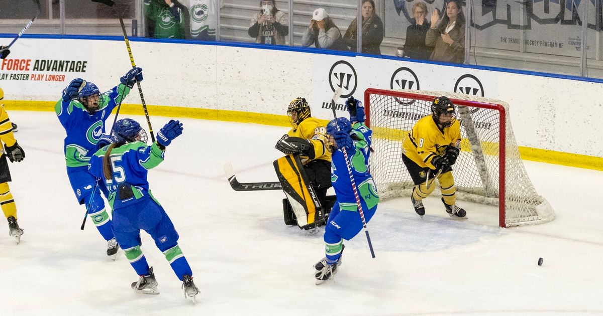 Dodgers Co-Owner Reportedly Negotiating Deal to Unify Pro Women's Hockey Leagues, According to AP Source