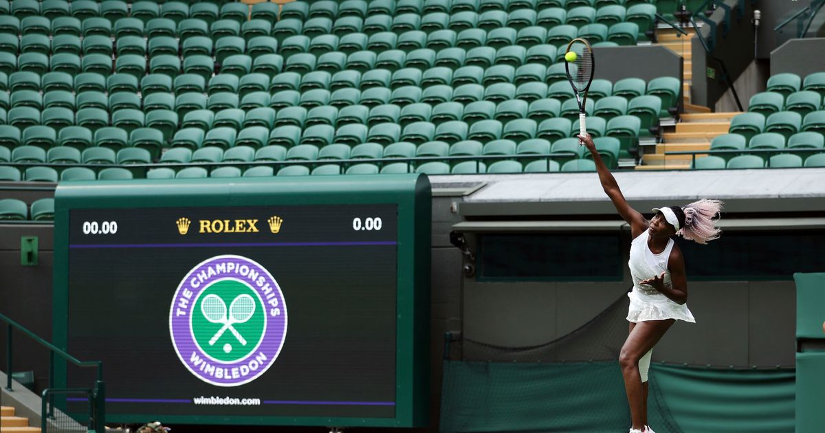 Venus Williams to Face Elina Svitolina in Her 24th Wimbledon Appearance