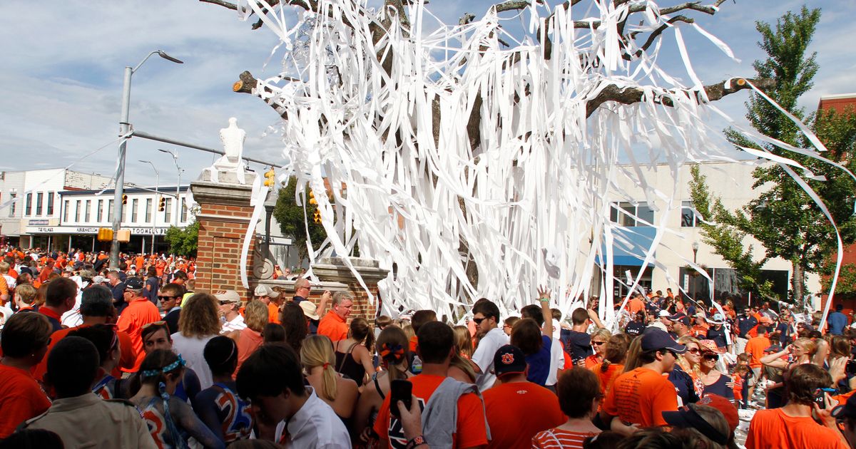 Auburn Fans Celebrate Return of Toomer's Oaks Toilet Paper Tossing Tradition