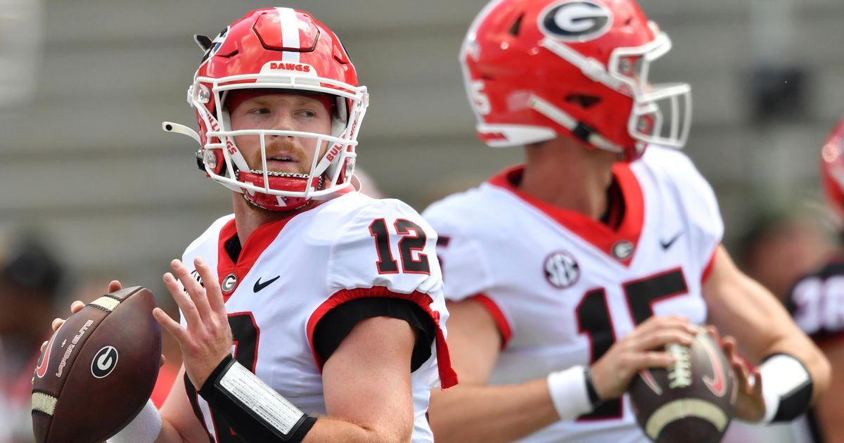 SEC Teams Relying on Transfer Quarterbacks to Fill Gaps Left by Graduated Stars