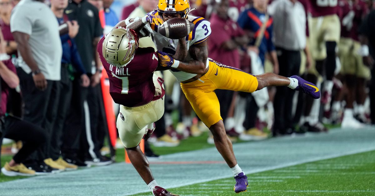LSU Safety Grant Brooks Undergoes Surgery to Remove Brain Tumor, Family Reports
