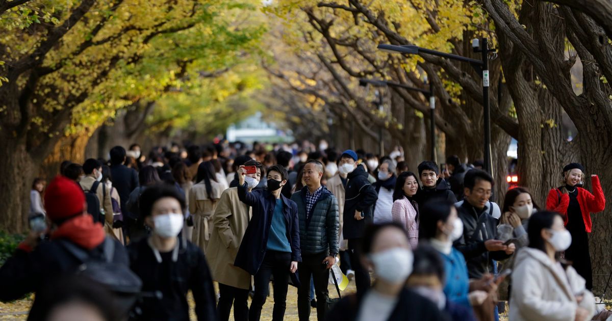 Tokyo's Jingu Gaien Park Added to 'Heritage Alert' List by Conservation Organization