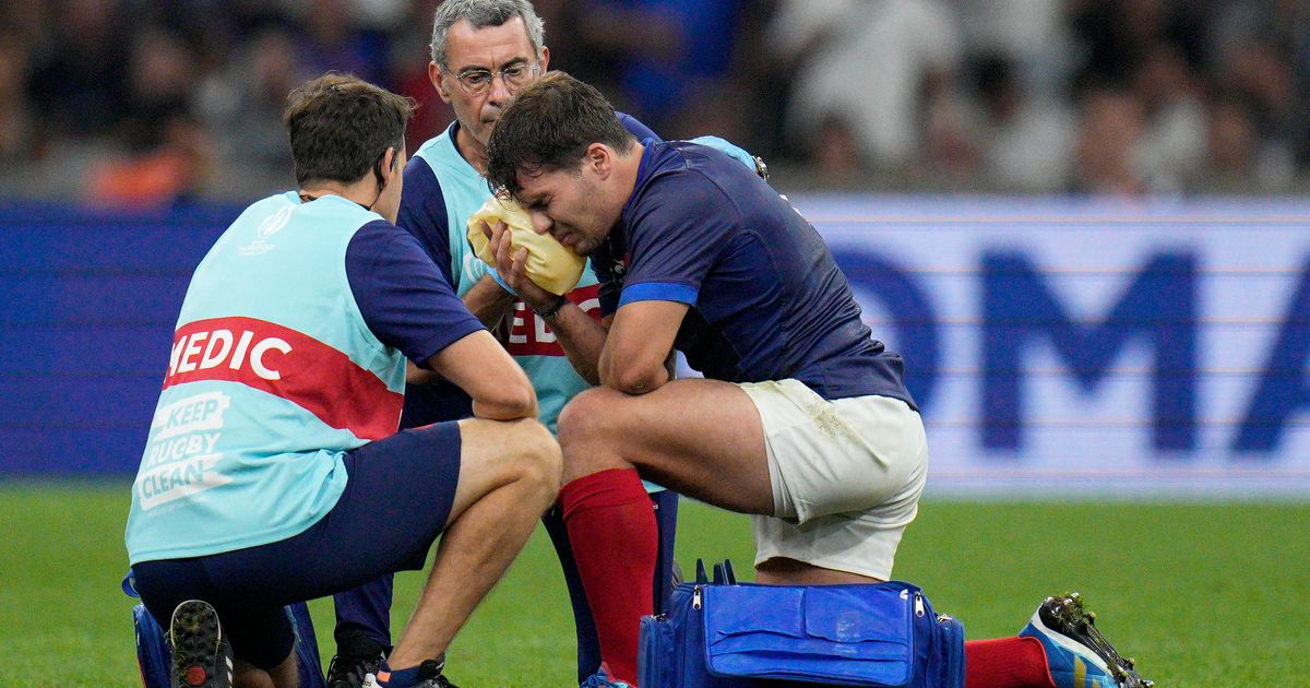 Rugby World Cup Players Injured by Slippery Stairs, Spider Bite, Tackles and Bad Luck