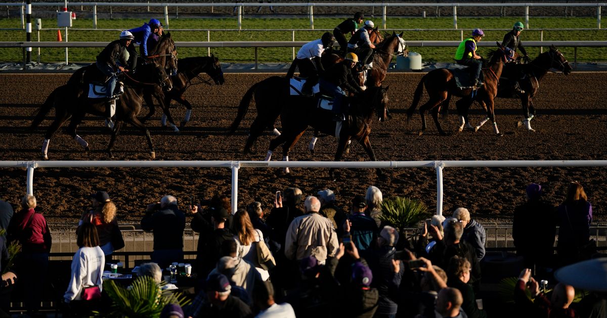 Bob Baffert and Todd Pletcher to Field Six Horses Combined in Breeders' Cup Juvenile