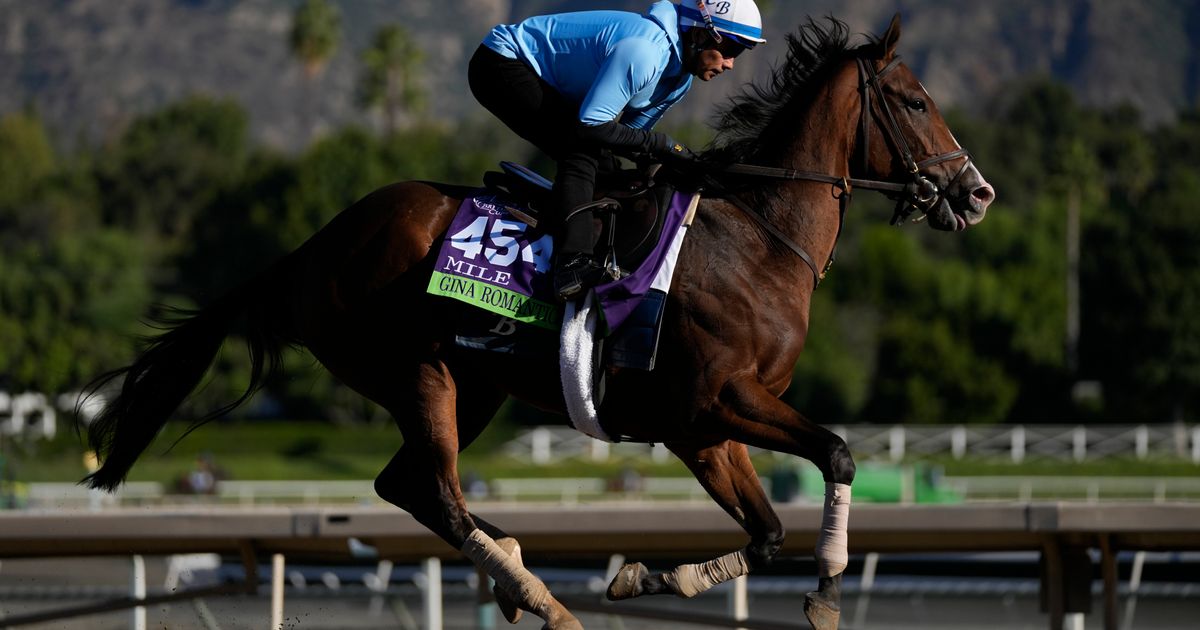 Breeders' Cup Under Intense Scrutiny Following Increase in Racehorse Deaths in 2019