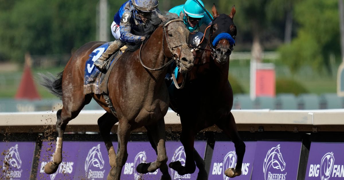 Cody's Wish Wins Breeders' Cup Dirt Mile After Rivals Bump in Stretch