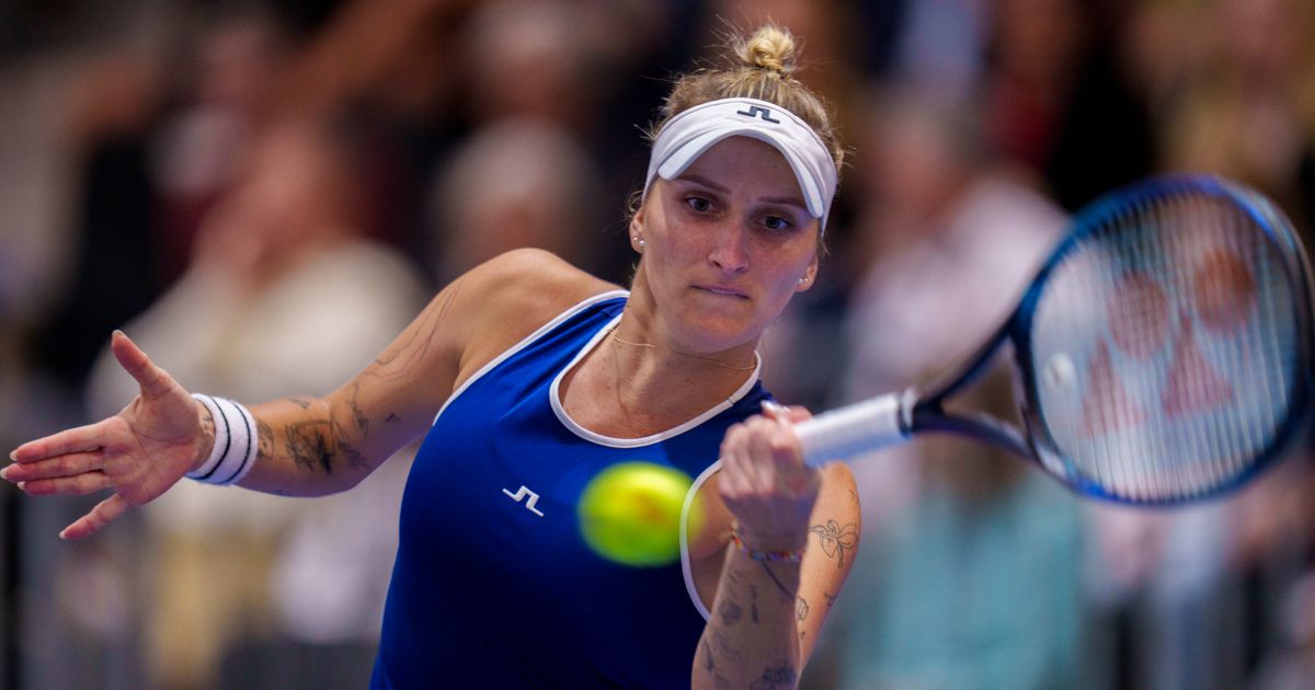 Czech Republic Defeats United States 2-1 to Advance to Billie Jean King Cup Semifinals