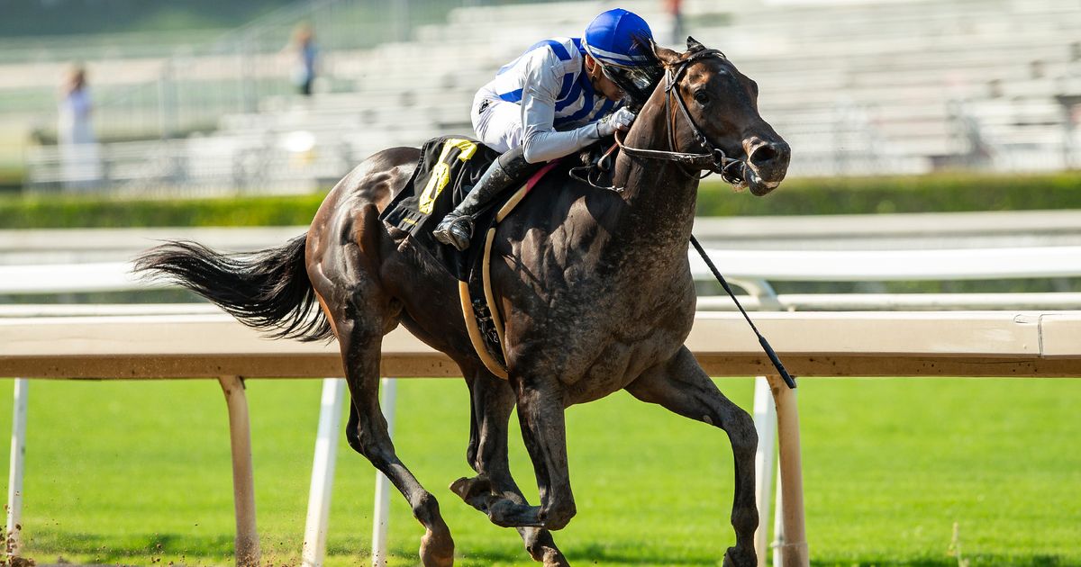 Santa Anita Race Track Reports Second Horse Death Ahead of Breeders' Cup