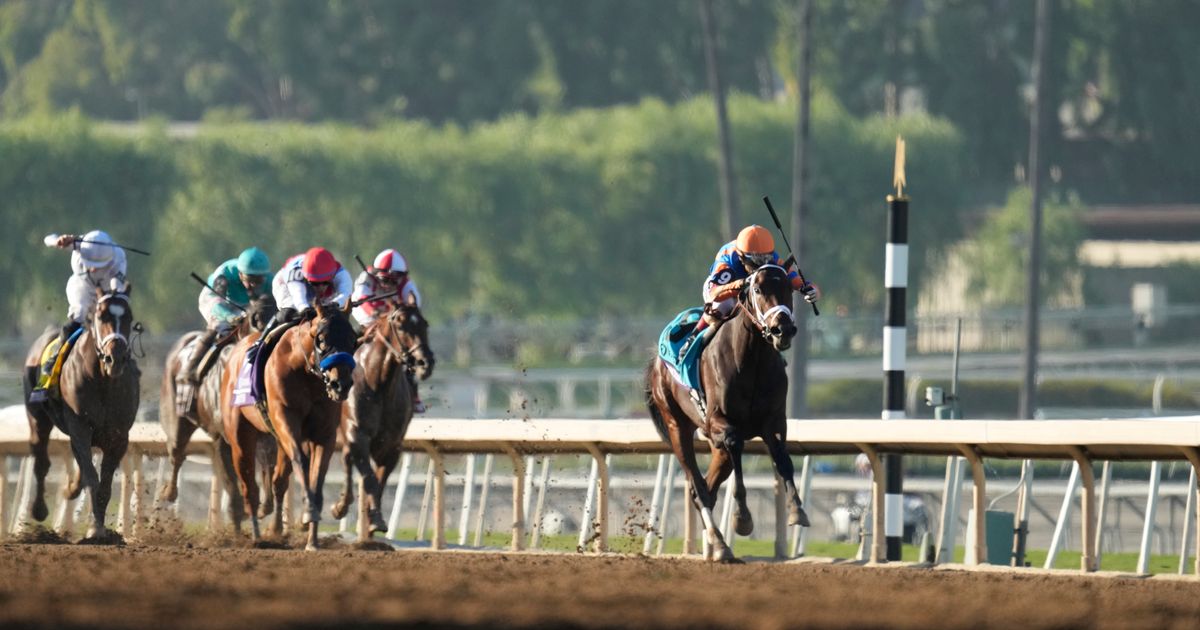 Todd Pletcher-Trained Fierceness Wins Breeders' Cup Juvenile with 16-1 Odds
