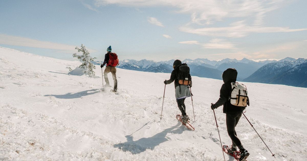 Explore Snowshoeing in Washington: Self-Guided and Guided Trip Options